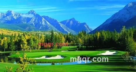 随遇而安的第2张照片