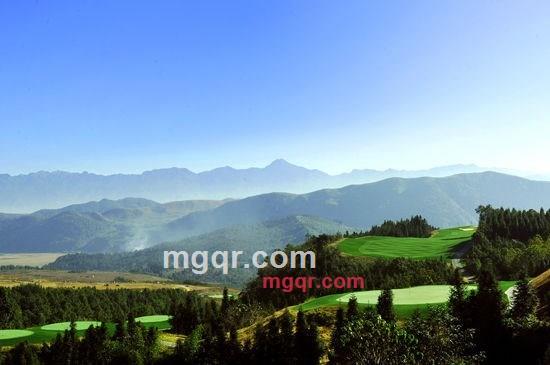 随遇而安的第1张照片