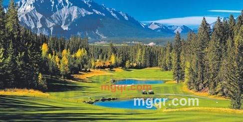 随遇而安的第3张照片