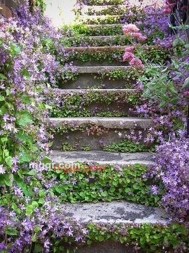 湘妹子，春的第2张照片