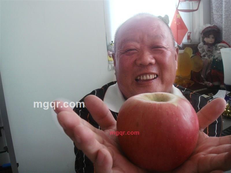 俺家老大的第29张照片