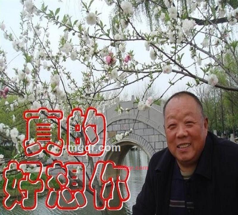 俺家老大的第28张照片