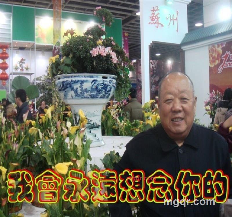 俺家老大的第27张照片