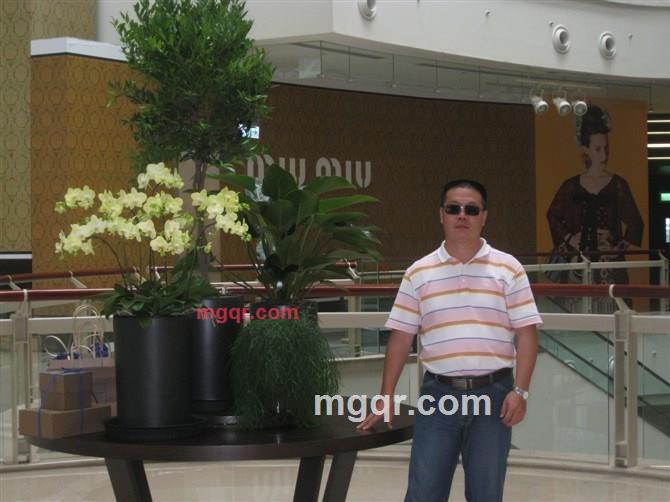 人未至，风已相临的第2张照片