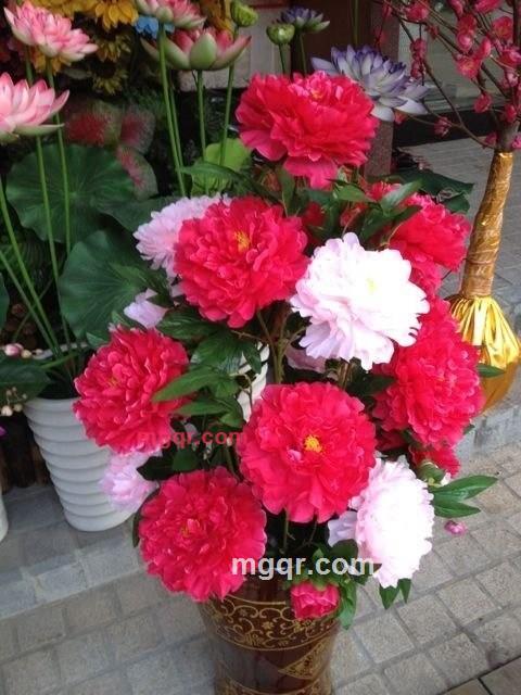 吴齐美的第1张照片