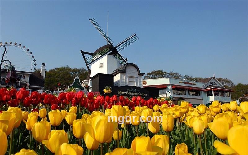 享受激情的快乐的第2张照片