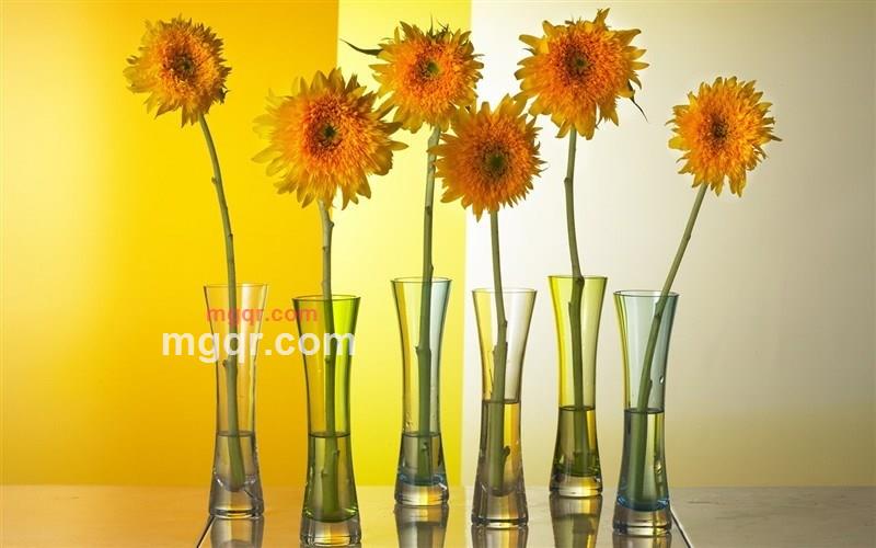 享受激情的快乐的第1张照片