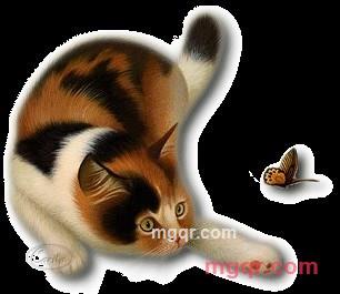 安莱儿的第1张照片