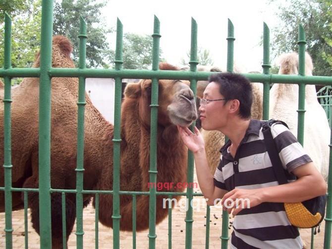 清爽男孩11的第5张照片