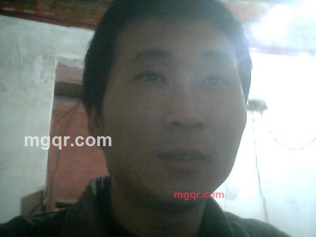 山猫闹革命的第1张照片