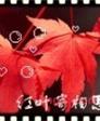 良晨的第1张照片