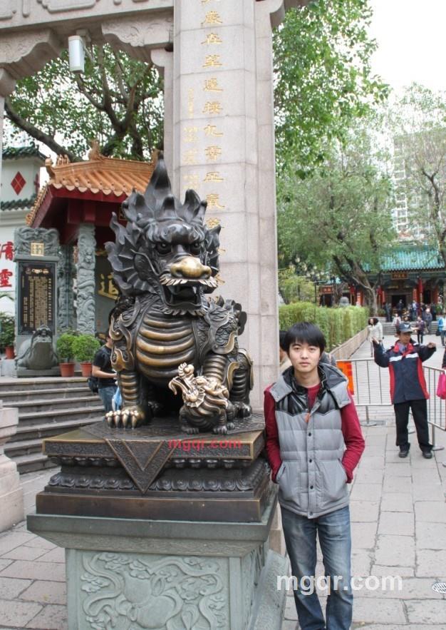 落葉不隨風的第1张照片