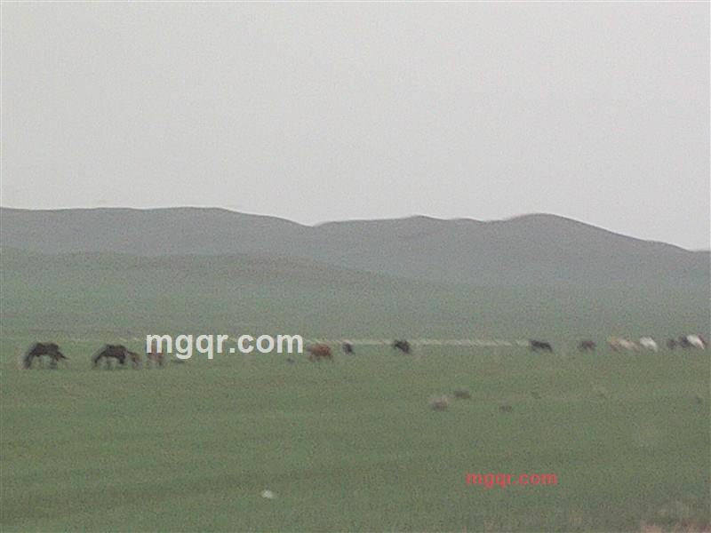 灵宝天尊的第3张照片