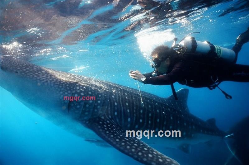 清江扬波的第1张照片