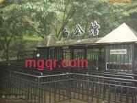 mutouwo的第4张照片