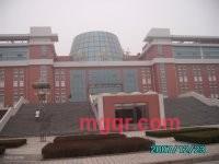 mutouwo的第3张照片