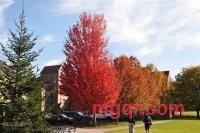 mutouwo的第2张照片