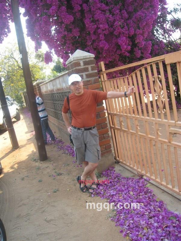 jordanlin01的第2张照片