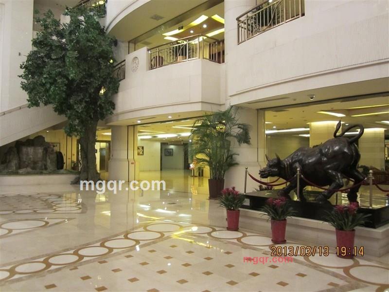 寻找随风的第2张照片