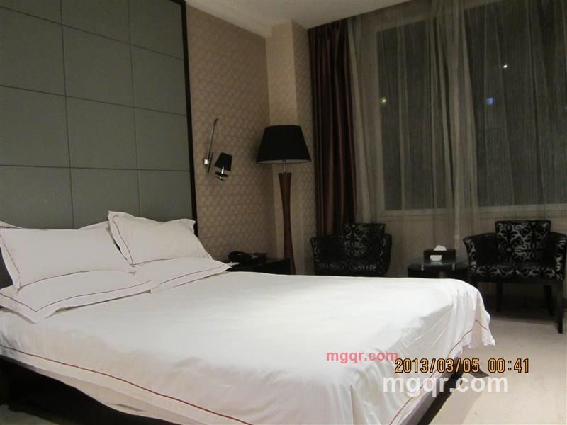 寻找随风的第4张照片