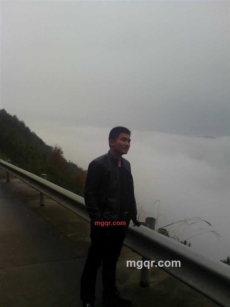 树叶一样的男人的第1张照片