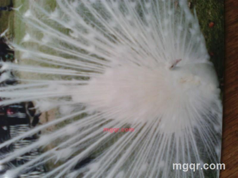 男人就是男人的第2张照片