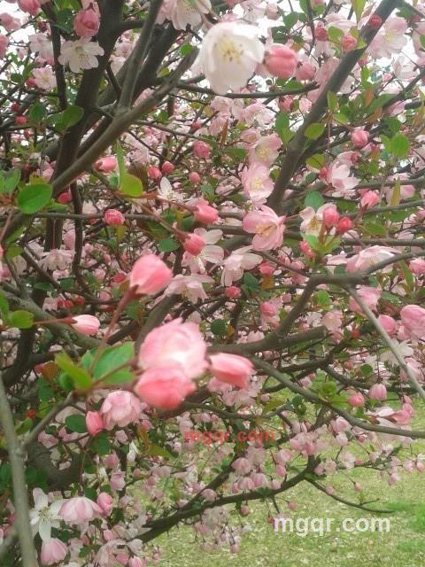 会飞的鱼1288的第2张照片