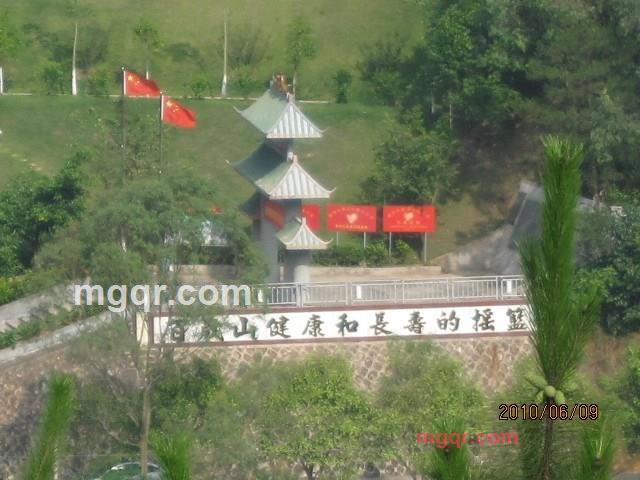 倾雨的第2张照片