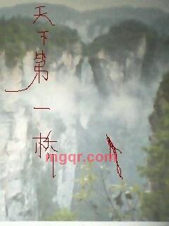 金钗玉露一相逢的第4张照片