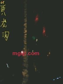 金钗玉露一相逢的第3张照片