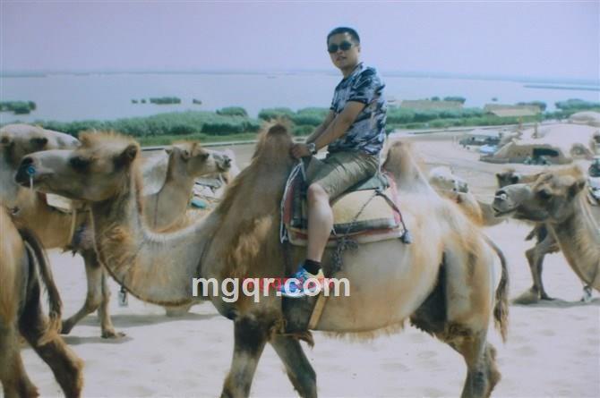 草原的上空的第4张照片