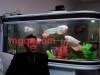 等爱盼缘的第1张照片