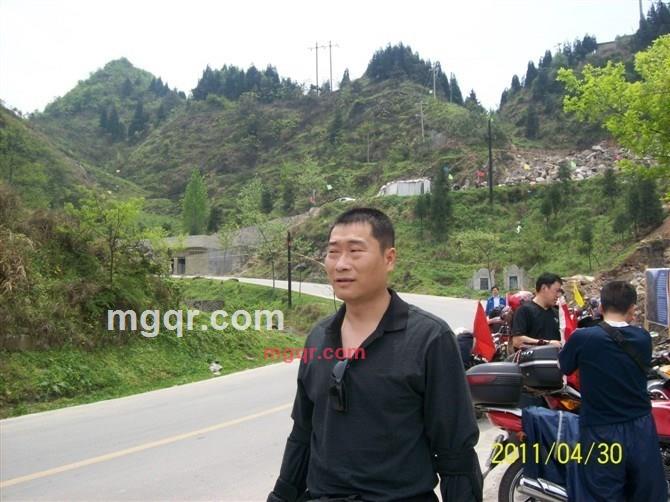 豌豆尖的第4张照片