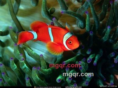 会员1732911的第2张照片