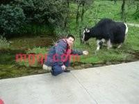 逍遥小哥的第4张照片