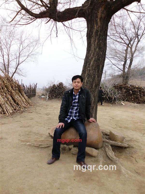 心不在飞翔的第1张照片