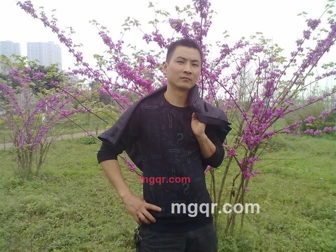 南充狼的第2张照片