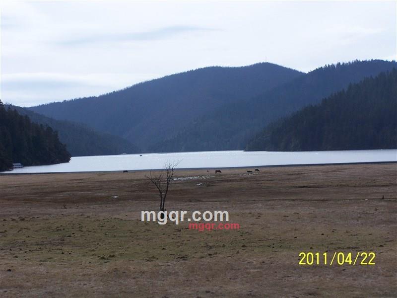 xixiwang的第1张照片