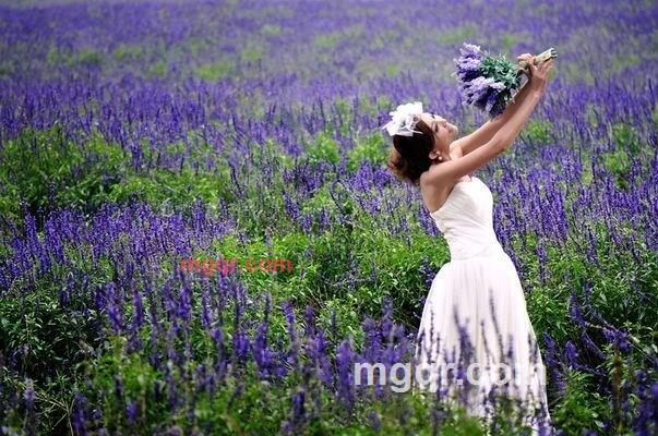 伊人独伤的第6张照片