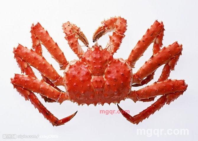 H-mei的第4张照片