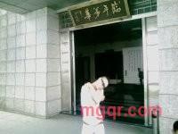 依依YY的第6张照片