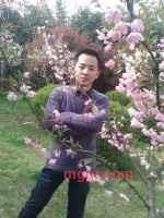 迷路的鸟的第5张照片