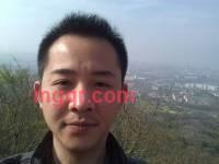 迷路的鸟的第4张照片