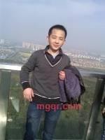 迷路的鸟的第3张照片