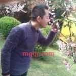 迷路的鸟的第6张照片