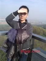 迷路的鸟的第2张照片