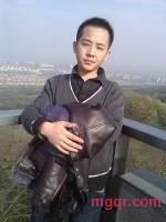 迷路的鸟的第1张照片