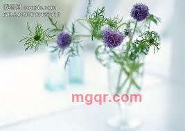 ⒉⒏⒉⒏⒊⒎⒉⒋⒈的第1张照片