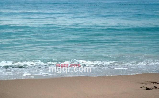 幽诱的第1张照片