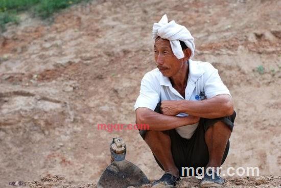 黎明湖木头的第2张照片